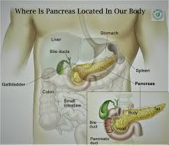 The pancreas is a soft, elongated organ located in the upper abdominal area of the body. Best Doctor To Consult For Pancreas Disease In India Delhi Ncr