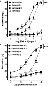 Image result for Eulophia hereroensis
