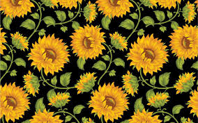 Aesthetic Flower Wallpaper Laptop Wallpaper For You Hd Wallpaper For Desktop Mobile