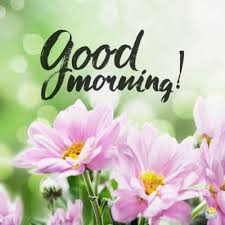 Good morning images with flowers are and always have been in the trending side because flowers in itself are a cure to the heart body and mind. 79 Good Morning Images With Flowers Have A Beautiful Day