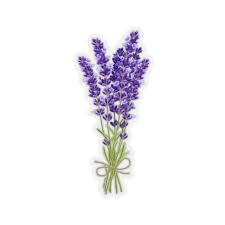 Purple Lavender Sticker Flower Nature Laptop Decal Vinyl Cute Waterbottle Tumbler Car Bumper Aesthe In 2021 Hydroflask Stickers Laptop Decal Purple Aesthetic