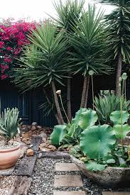 Artist S Outdoor Succulent Garden In The Hunter Valley Garden Plants Design Succulents Garden Australian Garden Design