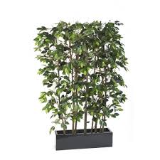 We did not find results for: Artificial Ficus Screen Office Or Restaurant Plants For Room Divider
