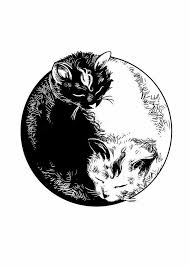 Https Www Facebook Com Shufflesketch Photos A 1134169253377010 1073741829 1105749732885629 1677702605690336 Type 3 Yin Yang Tattoos Yin Yang Art Cat Tattoo