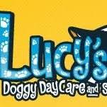 Maybe you would like to learn more about one of these? Lucy S Doggy Daycare And Spa Owner Lucy S Doggy Daycare And Spa Linkedin
