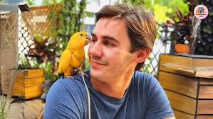 Sold crimson bellied and sun cheek conure tamed supportfeeding stage  Chennai #birds #tamed #handtame