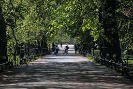 Turniej był podzielony na 3 zjazdy, w. Krakow Jamnik Rozszarpany Przez Agresywne Psy Na Plantach Czy Ta Historia Byla Zmyslona Policja Sprawdza Gazeta Krakowska