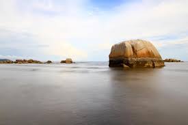 From afar, it looked as though there were cow dung all over the beach! Beach Front Villaku At Balok Kuantan Best Price Guarantee Mobile Bookings Live Chat