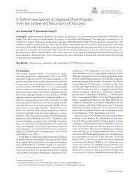 Image result for Isoglossa laxiflora