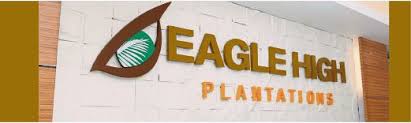 Its primary business can be dividend into three main activities; Felda Said To Have Sealed Eagle High Stake Buy