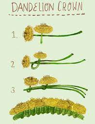 Madisonsaferillustration Dandelion Crowns Are Such A Nostalgic Diy Flower Crown Nature Crafts Cute Crafts