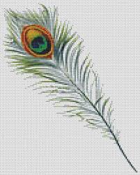 Peacock Feather Cross Stitch Pattern Pdf Peacock Cross Stitch Chart 8 X 10 Inches