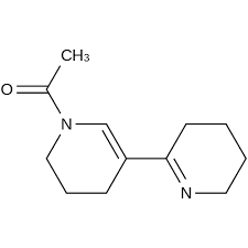 Image result for Dichilus