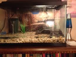 They are primarily situated in the southeastern united states occupying regions like northern florida, eastern texas, southeastern iowa, western illinois and southern georgia. My Baby Snapping Turtle Tank Alligator Snapping Turtle Turtle Tank Snapping Turtle