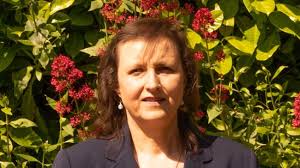 Elect Heather Peacock in Colne Valley