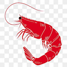  Gambar Makanan Laut Perlindungan Alam Semula Jadi Air Udang Makanan Laut Lindungi Alam Air Png Dan Psd Untuk Muat Turun Percuma Cartoon Clip Art Animal Clipart Nature Water