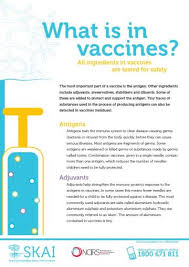 What Is In Vaccines Fact Sheet Australian Government