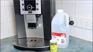 This is because some of these items can damage your machine or it might be hard to get rid of the smell again. Homemade Coffee Descaler How To Video Youtube