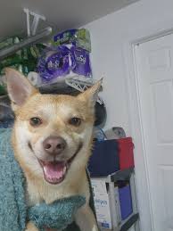 Recently found footage. Going back to the room at the RAMBLE!