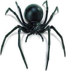 Make sure your home & yard is protected from spiders and other poisonous pests the black widow spider received its name due to a story about its mating behaviors. Amazon Com Safari Ltd Hidden Kingdom Black Widow Spider Realistic Hand Painted Toy Figurine For Ages 3 And Up Large Toys Games