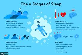 The 4 Stages Of Sleep Coolguide Stages Of Sleep Rem Sleep Rem Sleep Cycle