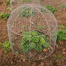 A garden fence provides a consistent and reliable barrier that isn't provided by repellents or scare devices.a garden border fence to keep out animalsdeer, groundhogs, gophers, mice, raccons, rabbits, rats, skunks, and voles are some of. How To Safely Deter Animals That Steal From Your Garden