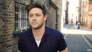 Discover more posts about flicker niall horan. Niall Horan Announces Nice To Meet Ya North American Tour Celebmix