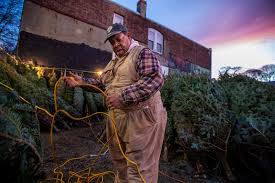 This christmas tree shops store, in a congested shopping area with ikea, costco, and home depot off route 24 in avon, is consistently busy, crowded, and tiny. Uprooted Once Before Dorchester Christmas Tree Seller Vows To Stay Open Wbur News