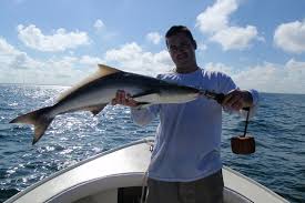 Choose from a half or full day trip, or book out the whole boat if you have a big group. Trophy Trips Charters Clearwater Inshore Fishing Guide
