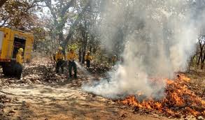 Estos incendios peligrosos se pueden expandir rápidamente y devastar no solo las áreas naturales y forestales, pero también comunidades. Incendios Forestales Se Intensifican En Abril Y Mayo Conafor Comision Nacional Forestal Gobierno Gob Mx