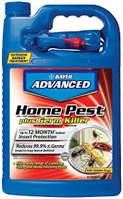 If you are looking for something that works and works for a long duration, then bed bug patrol bed bug killer spray treatment is a good option to consider. Pin On Bed Bug Control