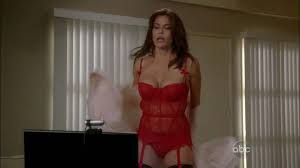Teri Hatcher looking very sexy in stockings and lingerie and in bikini on  beach Porn Pictures, XXX Photos, Sex Images 3241926 - PICTOA