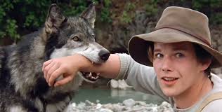 The Legend of Jed the Wolfdog, Animal Movie Star