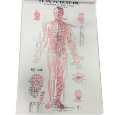 Acupuncture Charts 3 Posters Set In English Buy Acupuncture Charts Charts Acupuncture Point Model Product On Alibaba Com