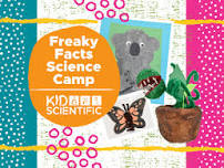 Freaky Facts Science Camp Summer Camp (4-10 Years)