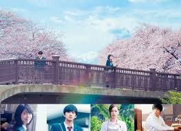 映画 君の膵臓をたべたい 膵臓 君の膵臓をたべたい 映画