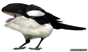 21 Cute But Vaguely Unsettling Animal Mashups Animal Mashups Photoshopped Animals Weird Animals