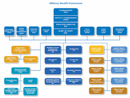 Msc 2011 In Review Organization