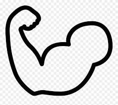 Drawing Muscle Free Download On Unixtitan Bicep Clipart Png Download 5477718 Pinclipart Download these free basic drawing lessons for beginners from artists network. drawing muscle free download on