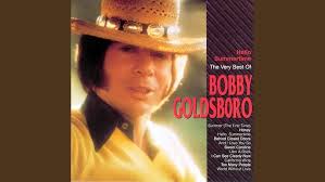 Honey (Bobby Goldsboro) guitar cover by Edward Tsen