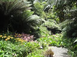 Astoundingly Beautiful Trebah Gardens