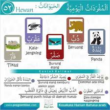 Sebagaimana bahasa indonesia, bahasa arab juga memiliki berbagai jenis kalimat beserta polanya, berikut ini pembahasan pola kalimat dalam bahasa arab. Facebook
