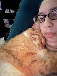 Missing white and black cat named Cookie Cat near Spring street in White  Salmon