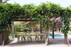 In this post, i am going to show you how to install modern garden arbor design on windows pc by using android. 25 Inspiring Trellis Pergola Ideas For Your Backyard Architectural Digest