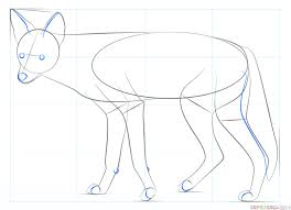 How To Draw A Jackal Step By Step Drawing Tutorials Drawing Tutorial Step By Step Drawing Drawings