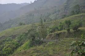 Check spelling or type a new query. Local Corner Store With Song Included Picture Of Blue Rock Cr Day Tours Parrita Tripadvisor