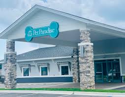 Dog day care center in são bernardo do campo, brazil. Mooresville Pet Boarding Pet Paradise