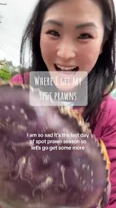 Where to Buy Octopus in Auckland