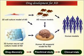 Maybe you would like to learn more about one of these? Recent Expansions On Cellular Models To Uncover The Scientific Barriers Towards Drug Development For Alzheimer S Disease Springerlink