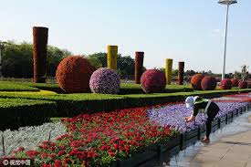 Founded in october 1919 under the league of nations, it is the first and oldest specialised agency of the un.the ilo has 187 member states: Flower Decorations Greet Upcoming Labor Day In Beijing 4 Chinadaily Com Cn